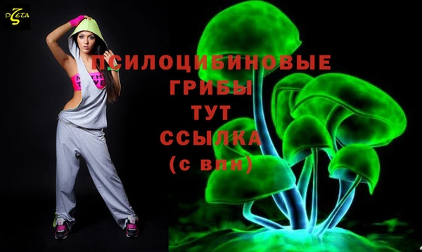 кокаин Болотное
