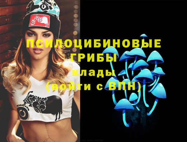 mix Абаза
