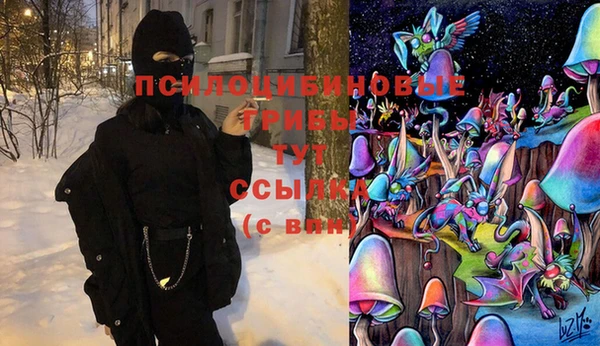 mix Абаза