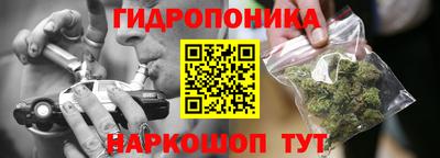 шишки Рыбинск