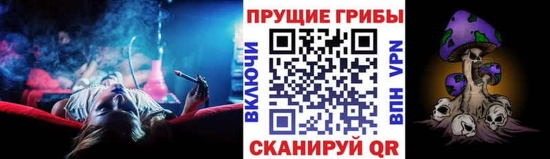 наркотики  Урус-Мартан  Галлюциногенные грибы мухоморы 