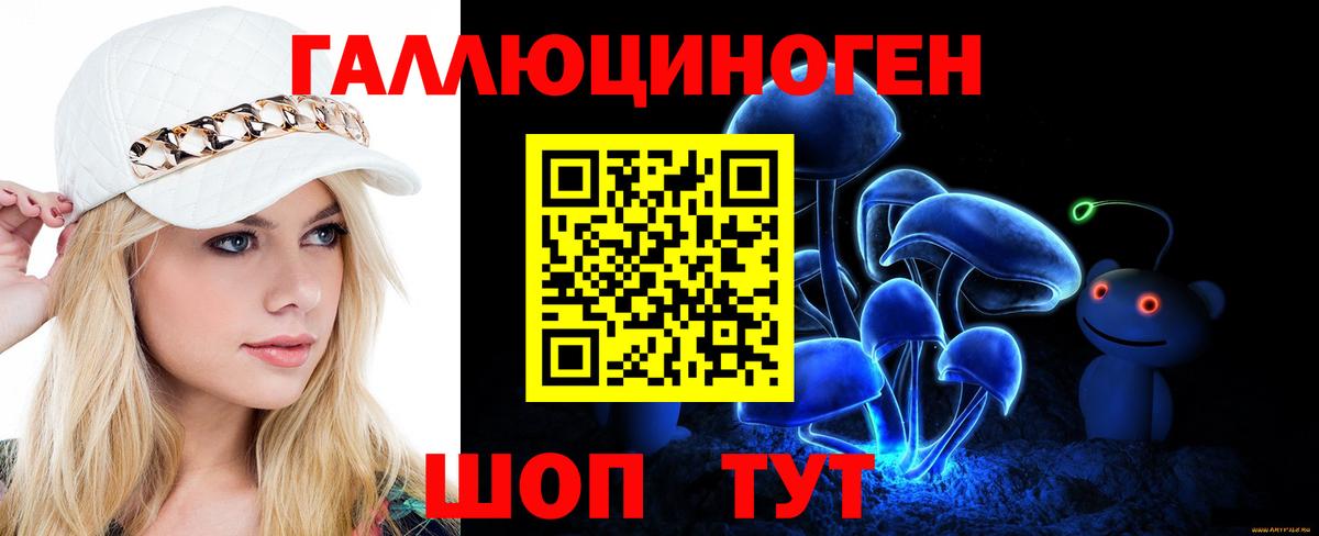 Галлюциногенные грибы Psilocybe Урус-Мартан
